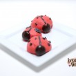 ladybugs