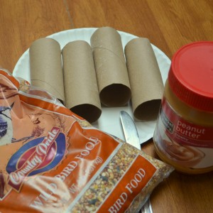 DIY, Make Your own bird feeder, homemade, bird seed, peanut butter, toilet paper rolls