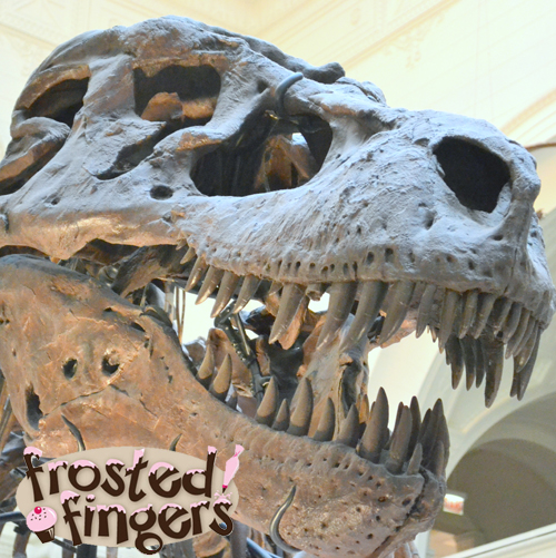 Chicago Field Museum, Tyrannosaurus Rex