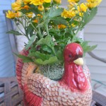 ProFlowers Gifts for Girlfriends