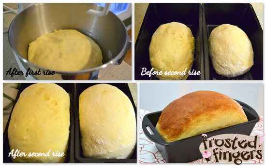 Stages of homemade honey bread