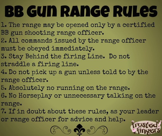 BSA BB Gun Range Rules