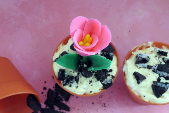 Spring Flower in Dirt Pudding