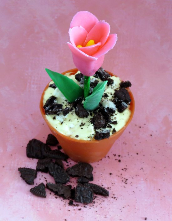 Spring Flower in Dirt Pudding