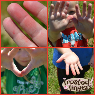 Strawberry Picking at Johnson's Farm - Frosted Fingers