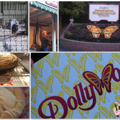 Dollywood #Review #Brandcation #PigeonForge #Dollywood #WildEagle
