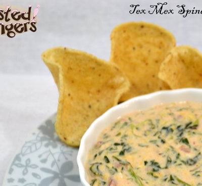Slow Cooker Tex Mex Spinach Dip