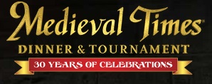 Medieval Times in Chicago is a great place for Groups!