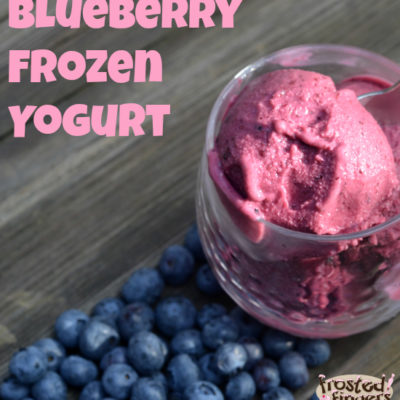 Blueberry Frozen Yogurt Recipe and Get a Brain Boost from Netflix