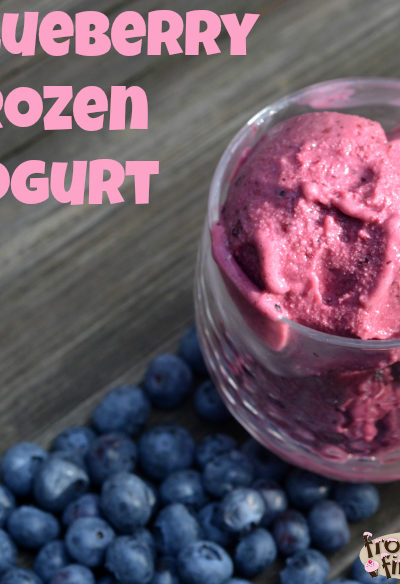 Blueberry Frozen Yogurt #StreamTeam