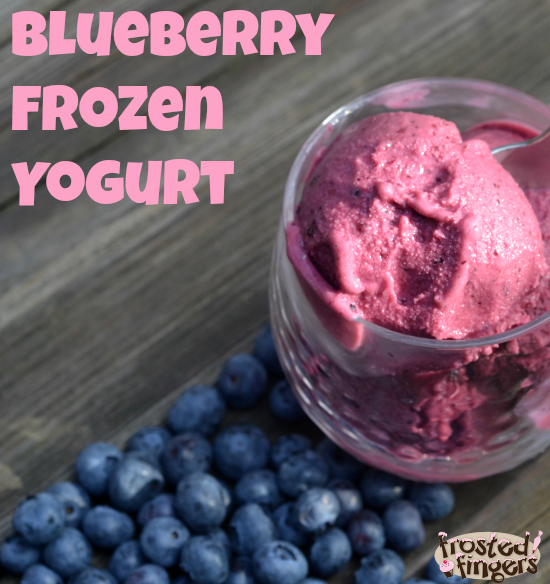 Blueberry Frozen Yogurt #StreamTeam