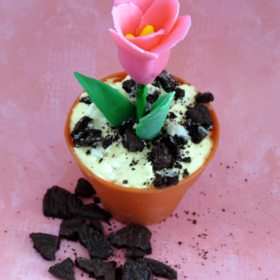 Celebrate Spring with Dirt Pudding