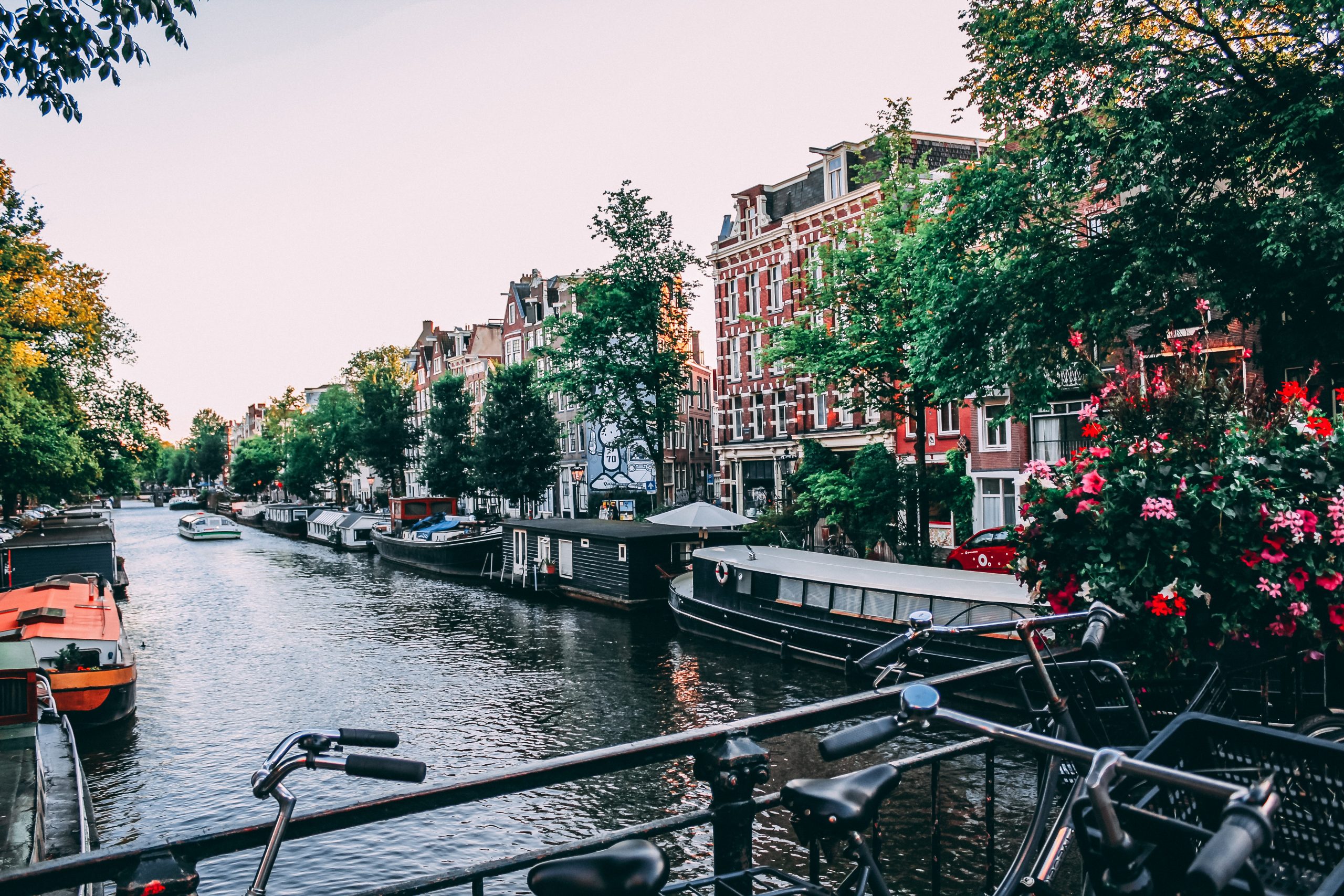 5 Tips for traveling from Amsterdam to Paris Frosted Fingers