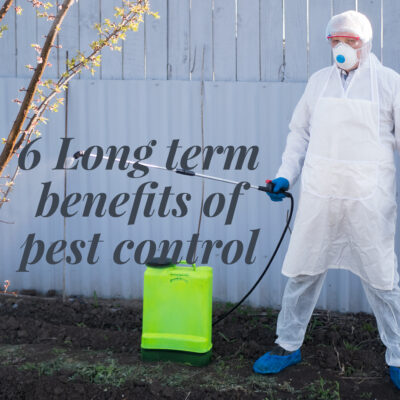 Six Long-Term Benefits of Pest Control That You Didn’t Know About